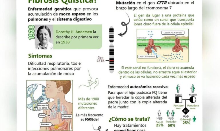 Infografía Fibrosis Quística 2